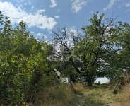 Lovasberény Tanya