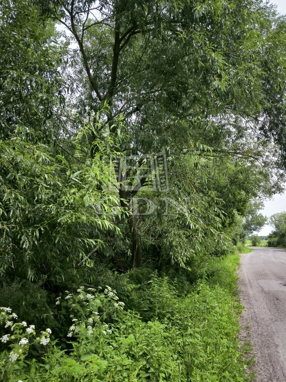 Vânzare Nógrád Zona agricola