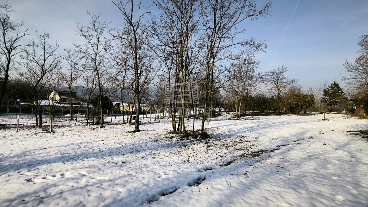 Eladó Pócsmegyer Telek