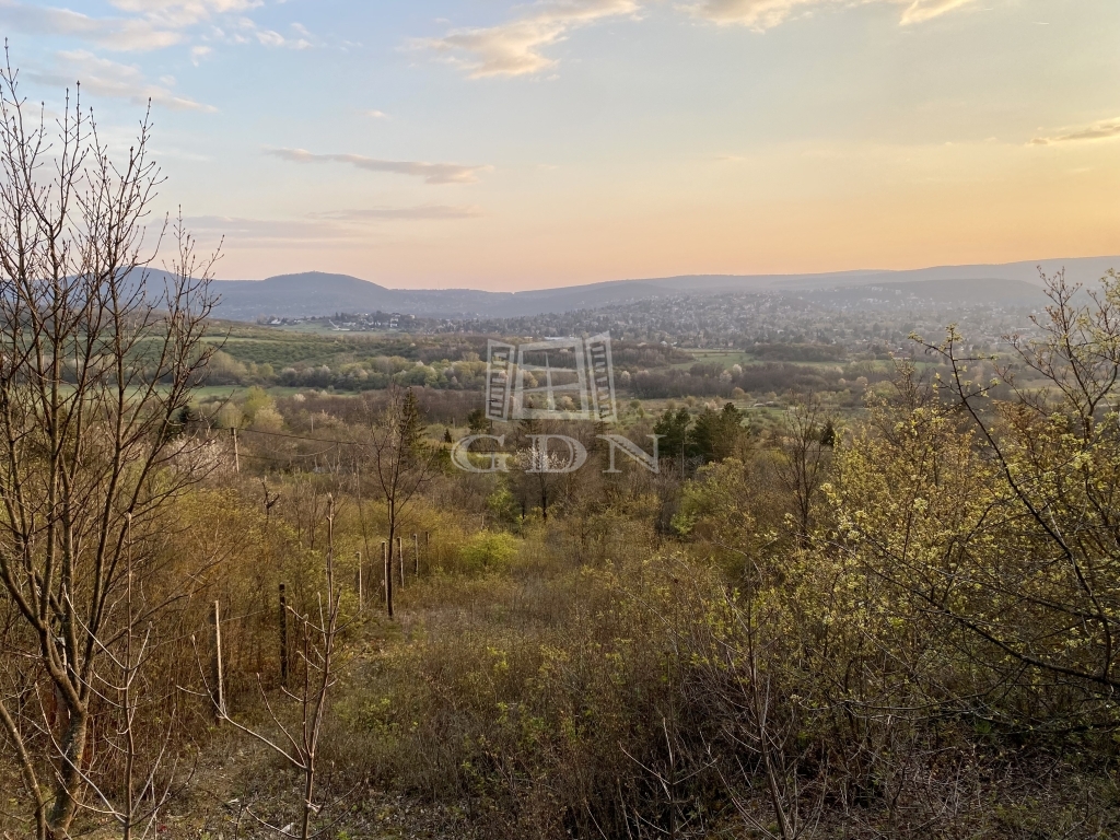 Eladó Budapest II. kerület Telek