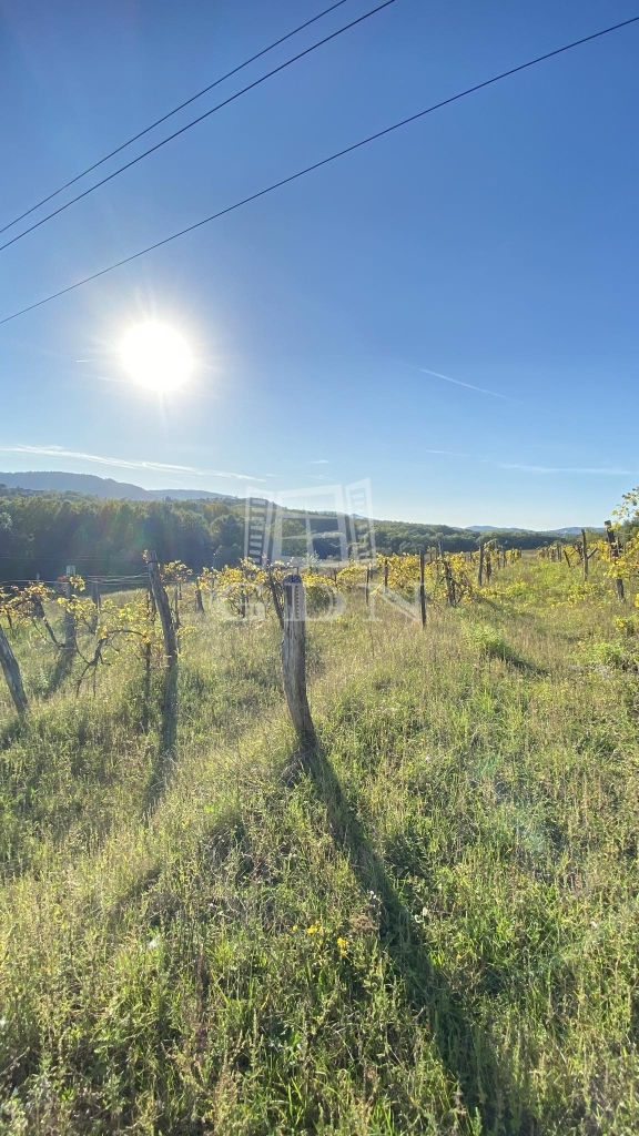 Verkauf Solymár Landwirtschaftliche Flächen